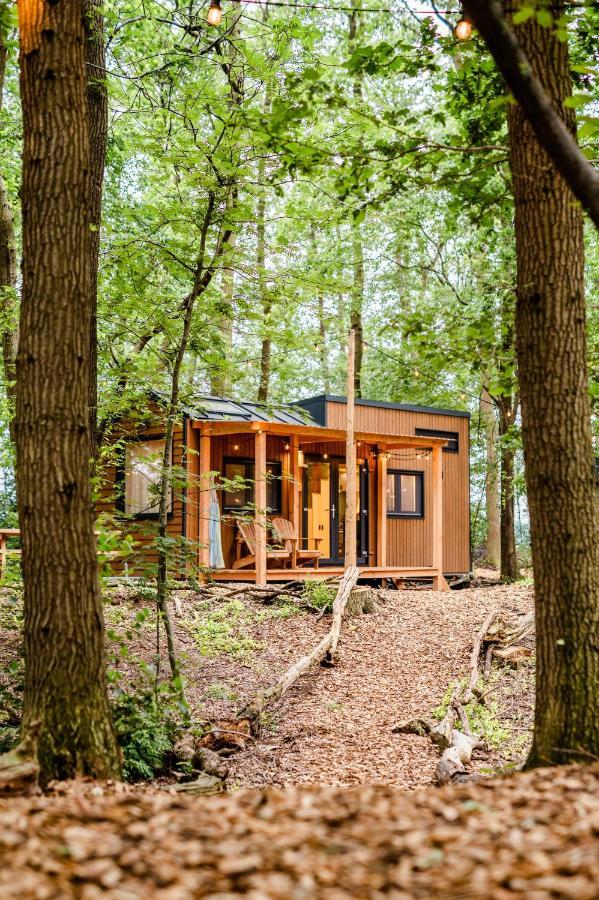 Tinyparks Forest Cabins Hoogersmilde Bagian luar foto