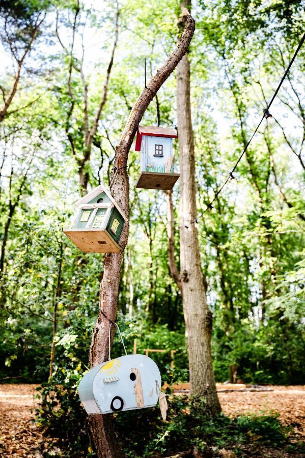 Tinyparks Forest Cabins Hoogersmilde Bagian luar foto