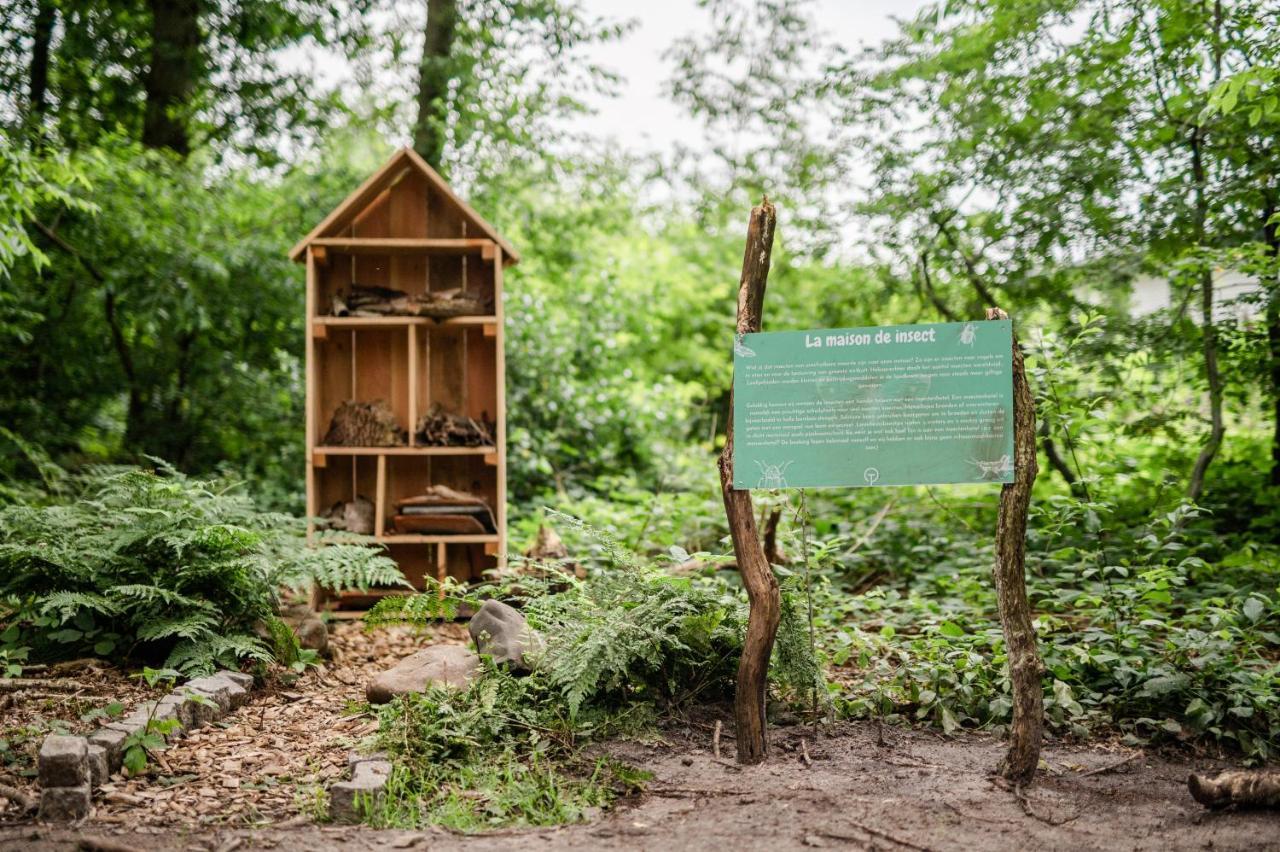 Tinyparks Forest Cabins Hoogersmilde Bagian luar foto