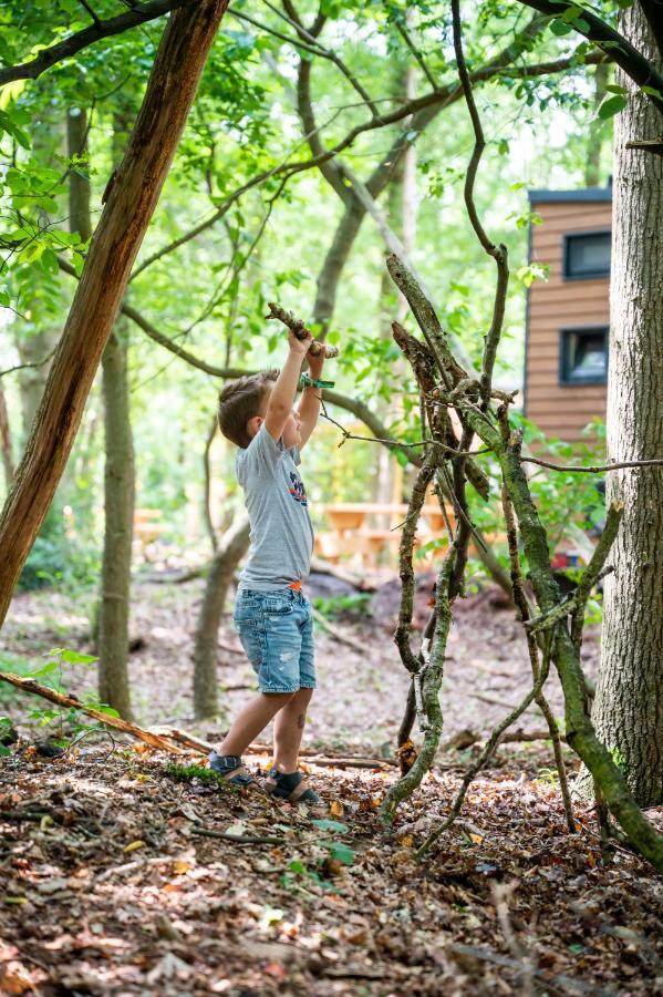 Tinyparks Forest Cabins Hoogersmilde Bagian luar foto