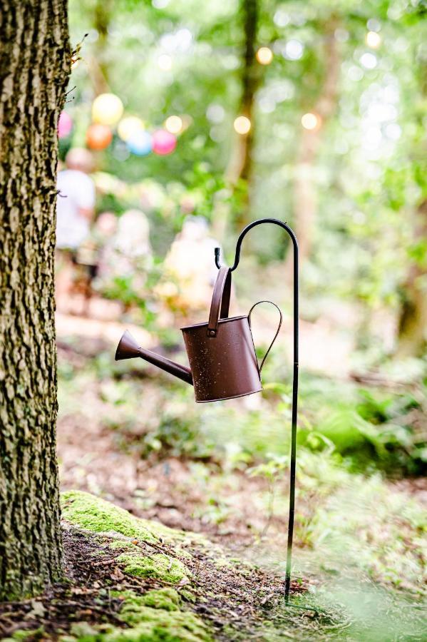 Tinyparks Forest Cabins Hoogersmilde Bagian luar foto