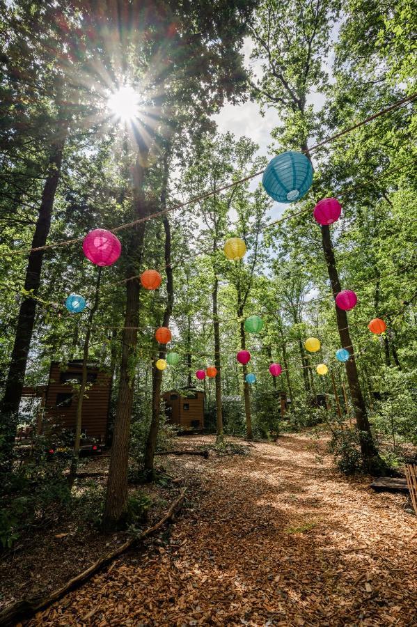 Tinyparks Forest Cabins Hoogersmilde Bagian luar foto