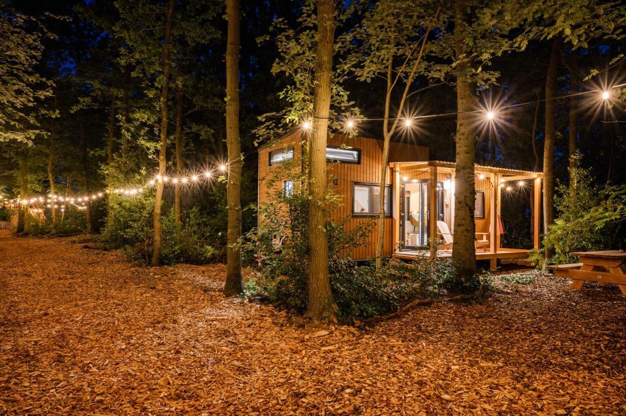Tinyparks Forest Cabins Hoogersmilde Bagian luar foto