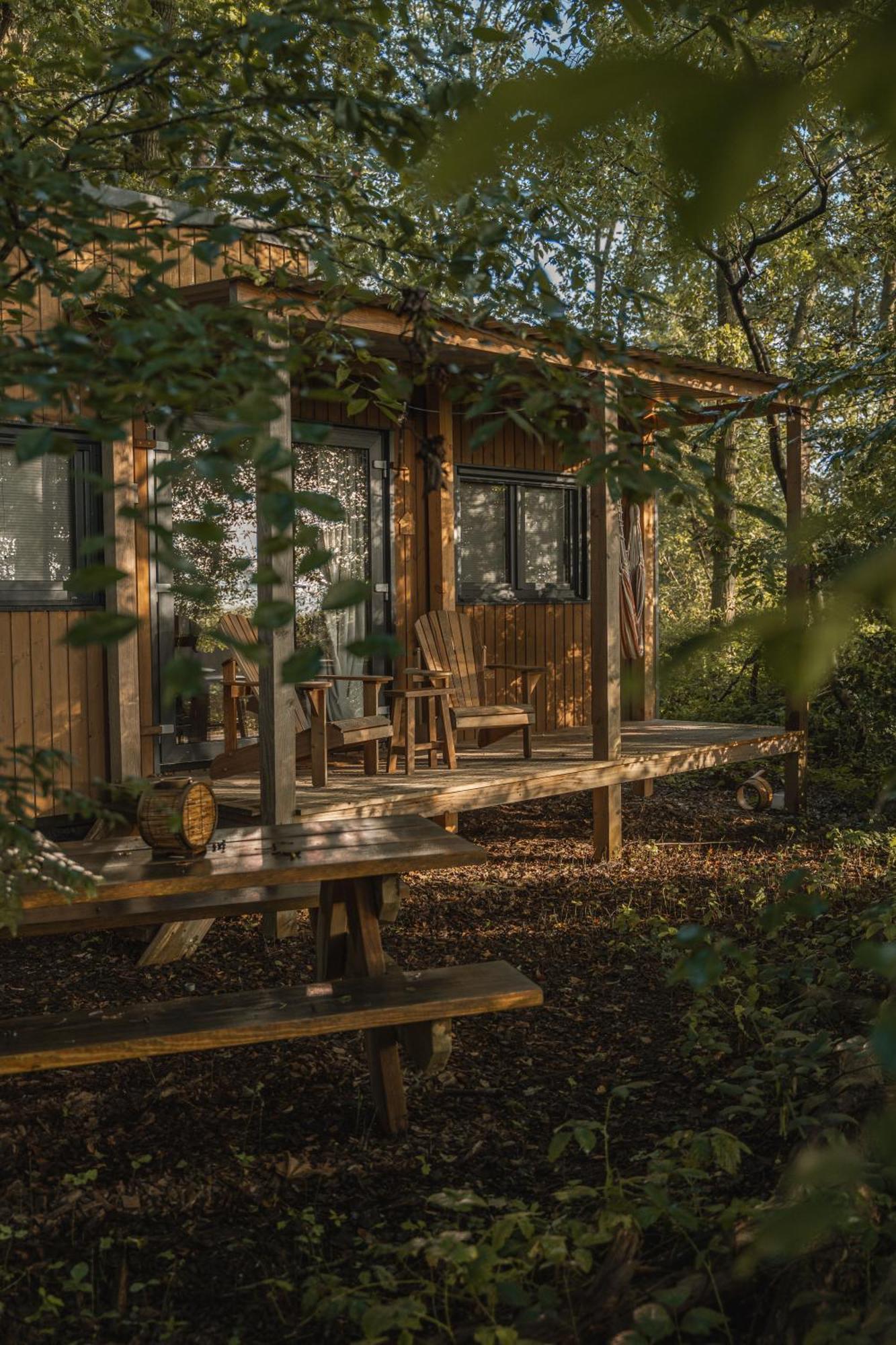 Tinyparks Forest Cabins Hoogersmilde Bagian luar foto